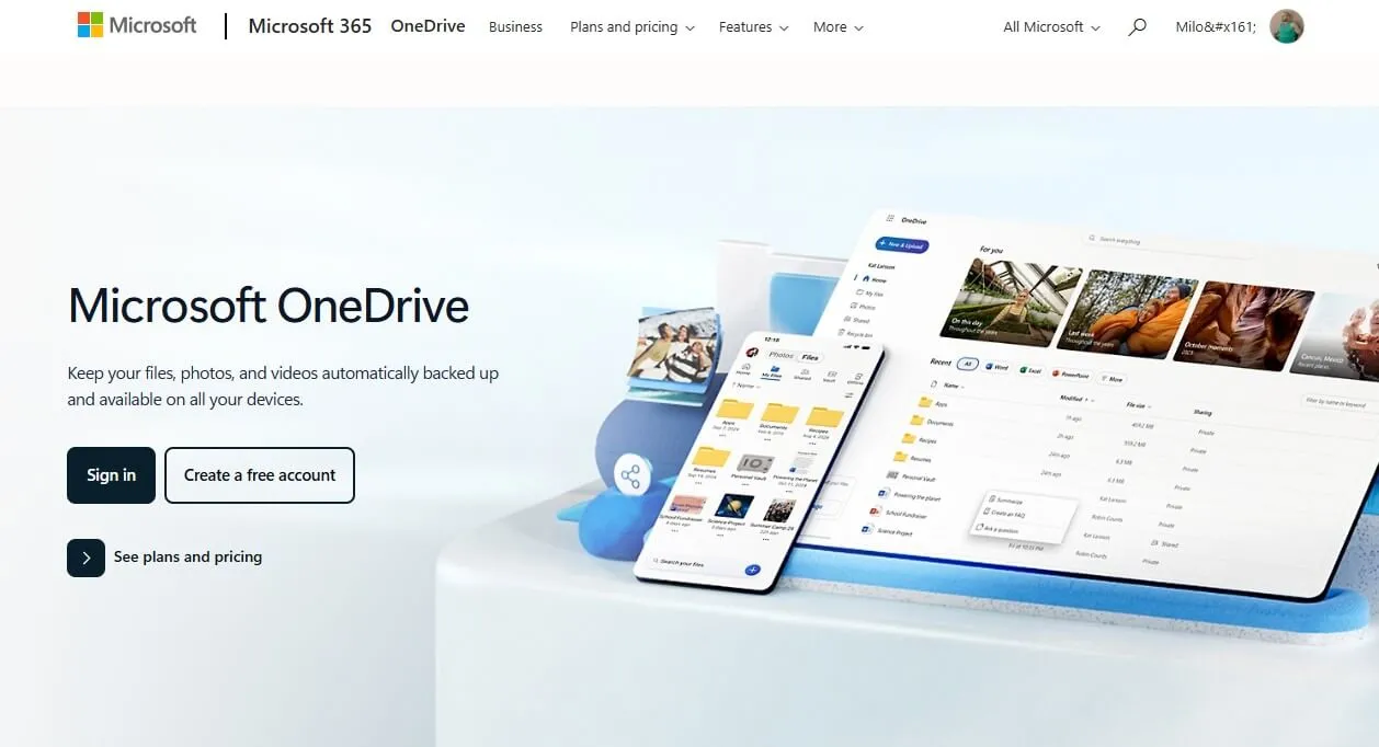 Microsoft OneDrive (5 GB de Armazenamento Gratuito)